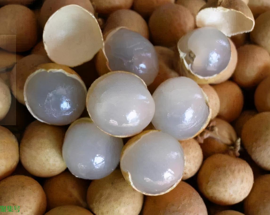 桂圆和龙眼是同一种东西吗?到底有何区别?看完你就涨知识了