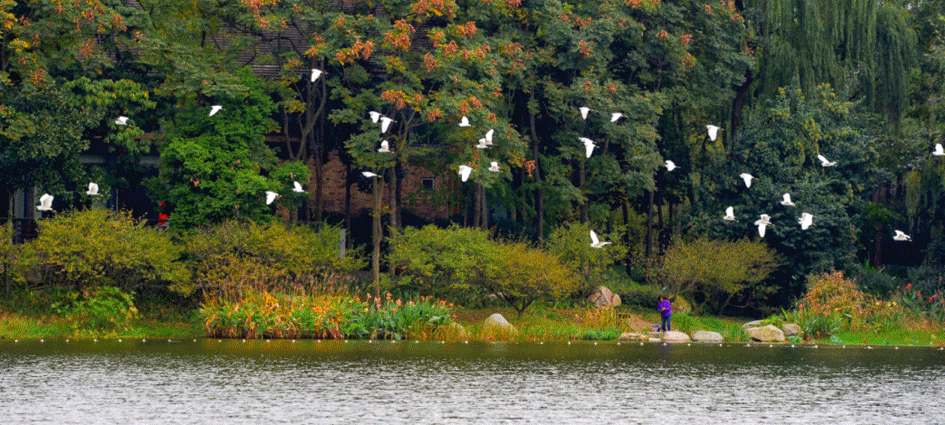 成都人口为什么这么多(成都人口2021总人数口是多少)