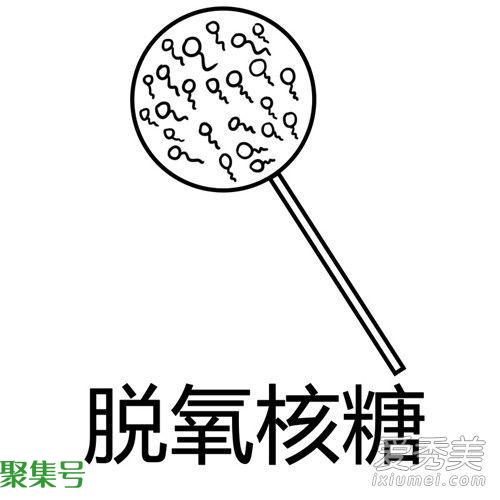 脱氧核糖是什么梗(“脱氧核糖”相关例句)