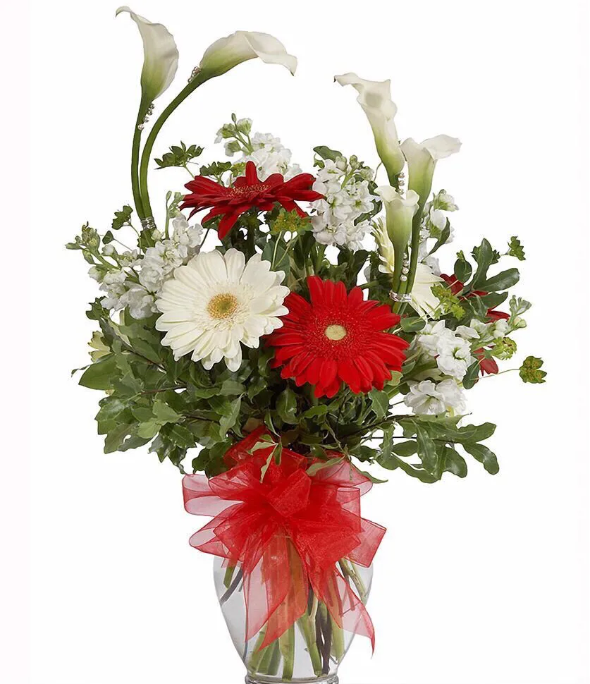 寒食的诗意(寒食的诗意及表达感情)