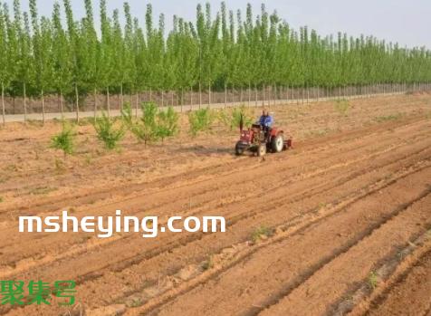 土地性质分类(土地性质有哪几种)