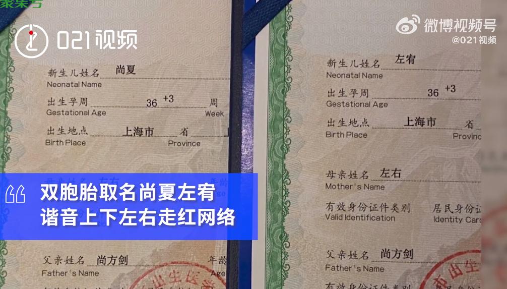 上海一对双胞胎取名谐音上下左右