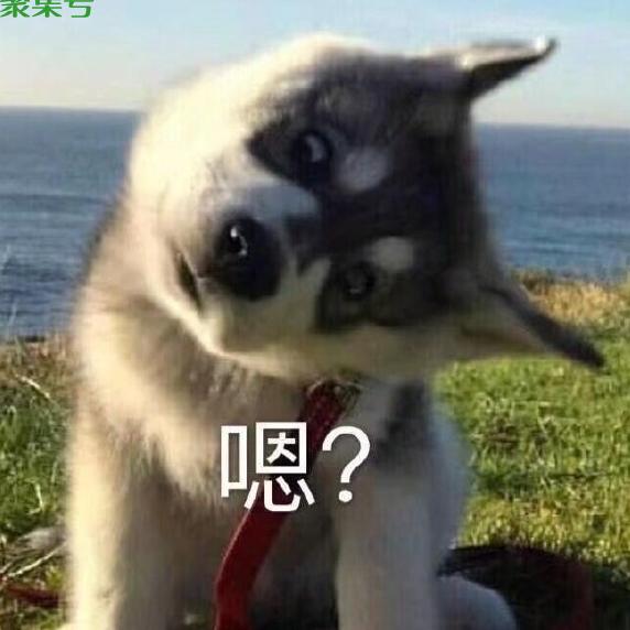 同等学力什么意思（同等学力考研可以调剂吗）