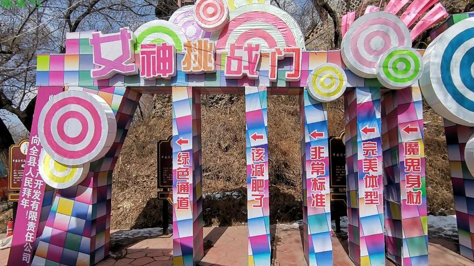 学校三八妇女节活动策划书(三八节女职工活动方案)