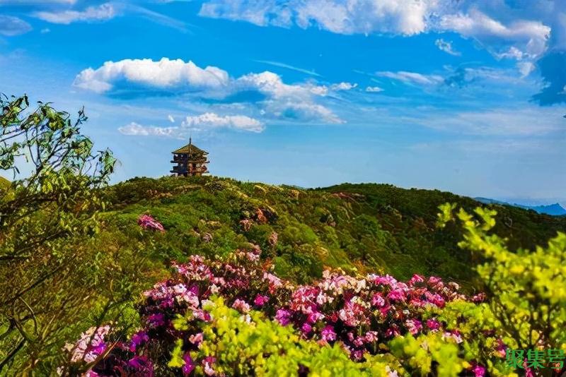 重庆旅游必去景点（重庆旅游攻略景点必去）