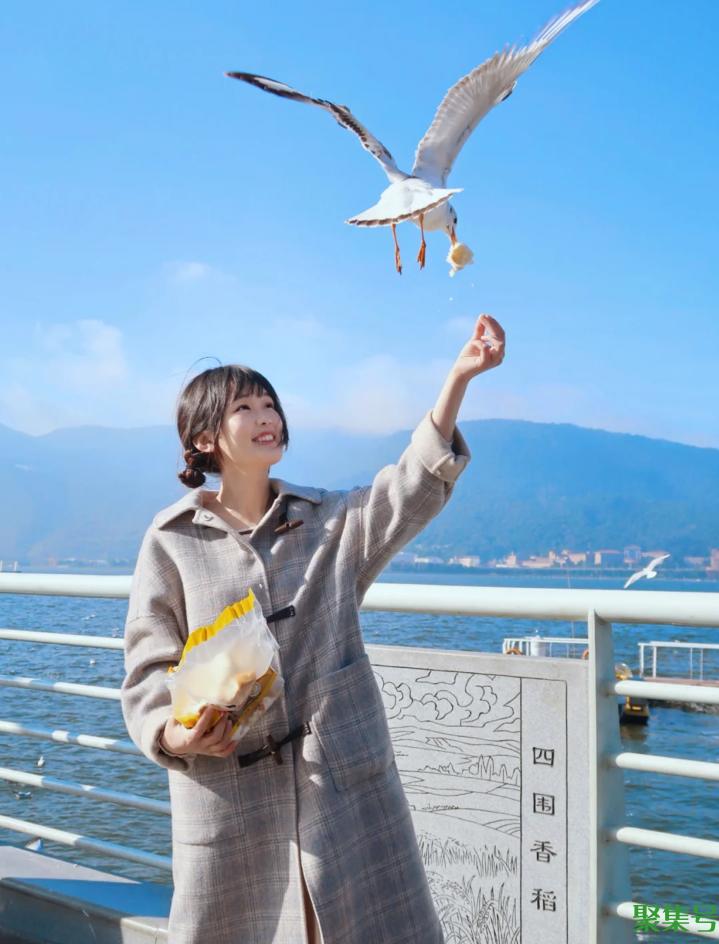 昆明旅游攻略景点大全（云南昆明旅游景点攻略自由行）