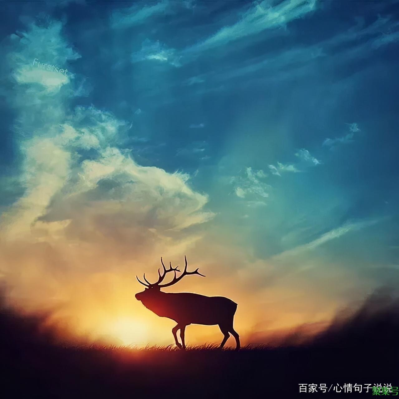 励志的句子经典语句（正能量励志经典句子）