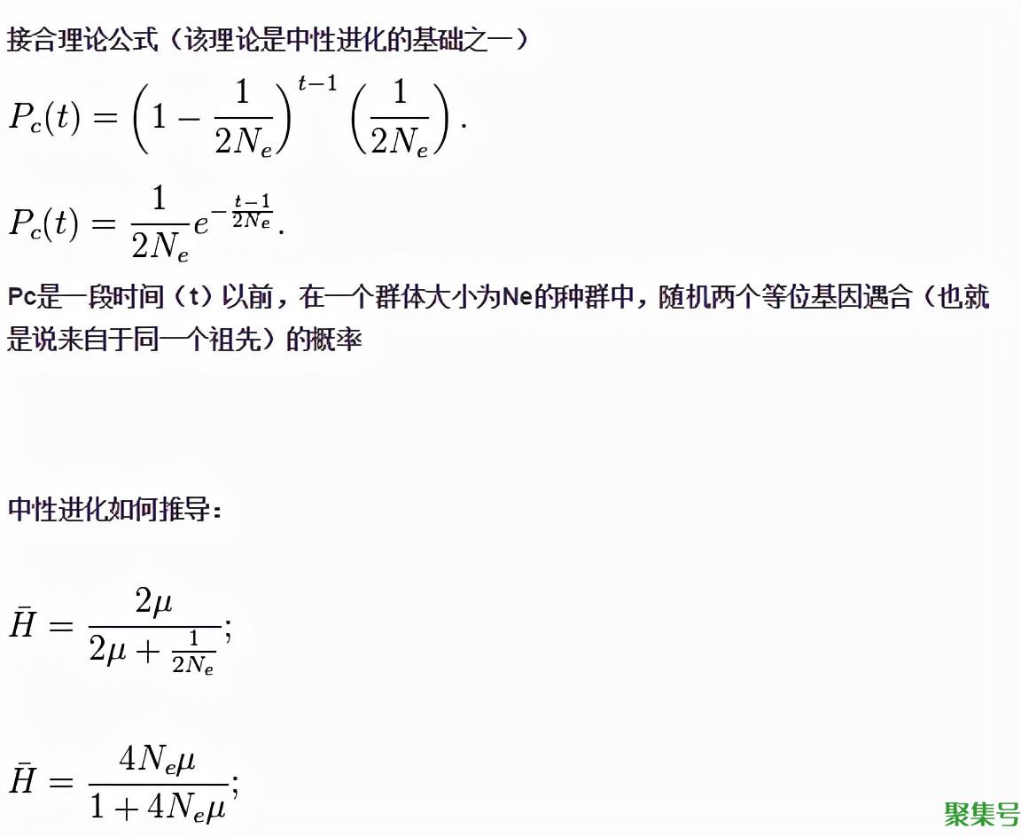 人类的祖先真的是猿猴吗(人类是猿猴进化的吗)