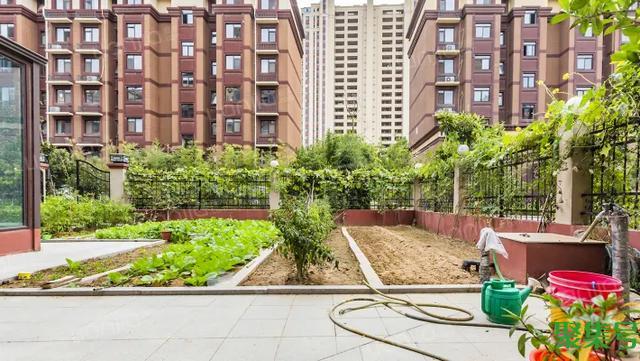 买了一楼带院子的房子的感受(买一楼带院子好不好)