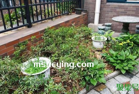 一楼带院子的高层可以买吗(买房买一楼带院子好吗)