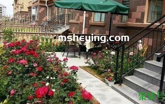 买房子一楼带小院好吗(买小高层一楼带院子的弊端)