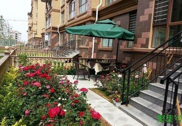 小高层的一楼带院子能买吗(高层一楼带小院的房子好吗)