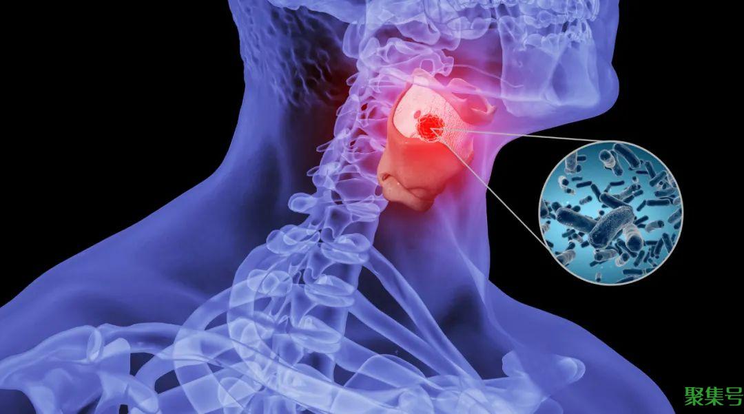 上火怎么办(上火怎么办怎么清火)