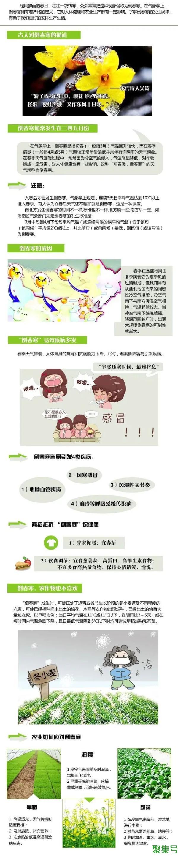 什么是倒春寒（所谓的倒春寒是什么）