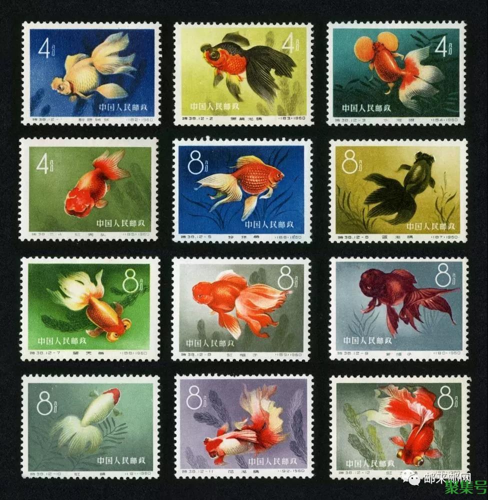 集邮什么意思（说别人集邮什么意思）