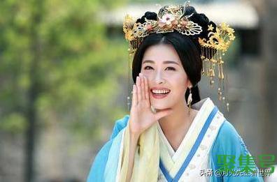 卫青和平阳公主是真爱吗(卫青和平阳公主关系)