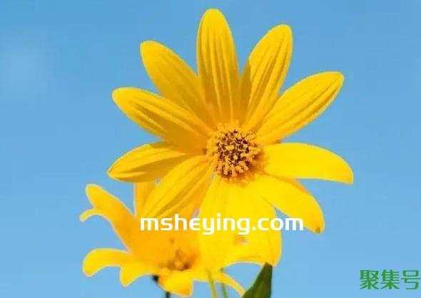 公婆怎么称呼儿媳妇(婆婆怎么称呼儿子的老婆)