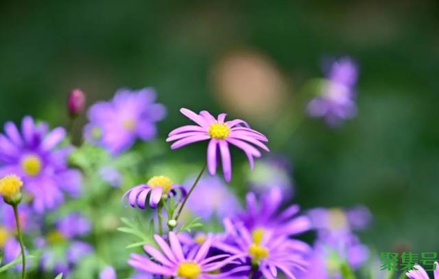 适合做座右铭的名言警句(可以用来当座右铭的名言警句)