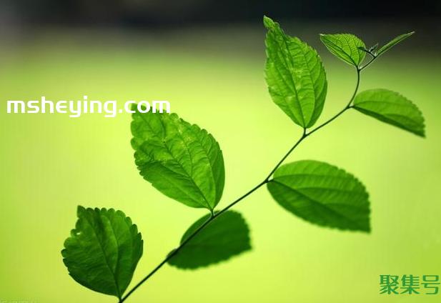 激励自己的名言警句的座右铭(选一句名言警句作为座右铭)