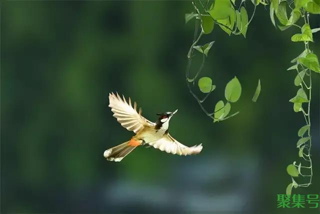 名人座右铭励志名言(座右铭的名言警句)