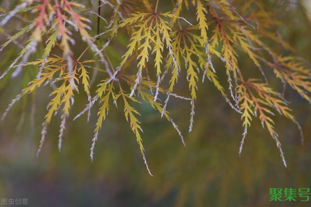 著名的座右铭有哪些(经典名人座右铭简短)