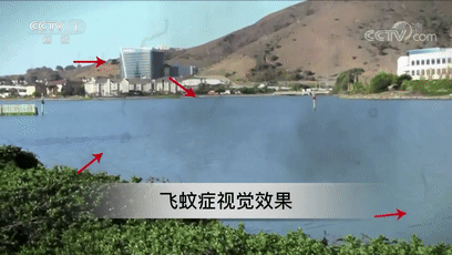 眼前小黑点飘是怎么回事(老是感觉眼前有个黑点飘来飘去)