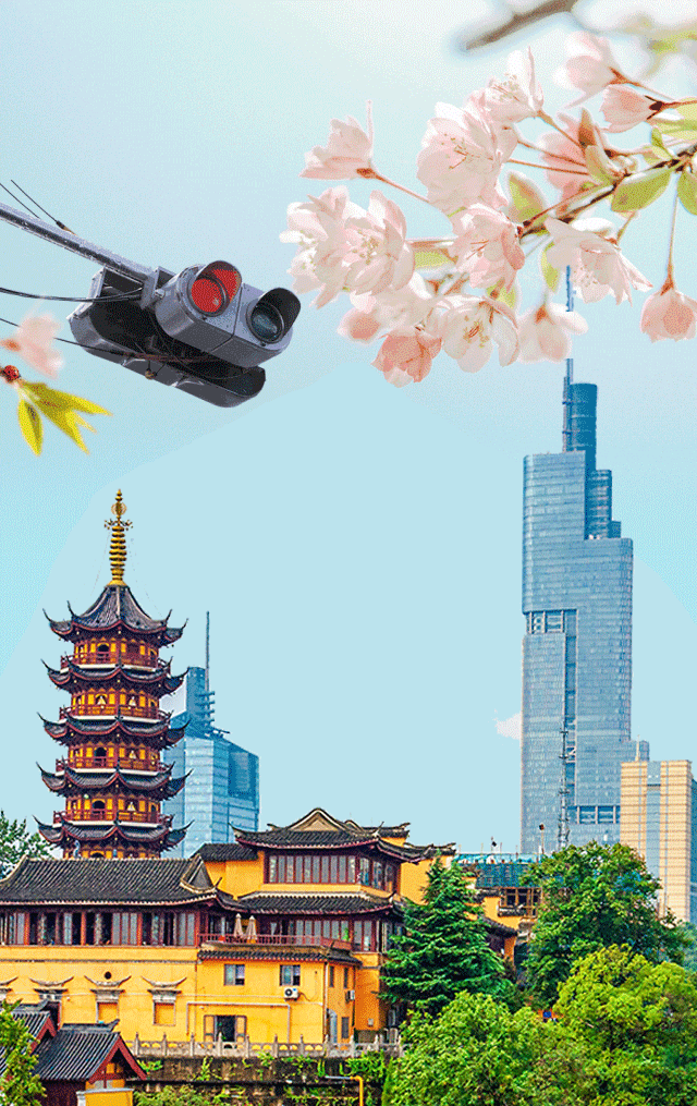 南京赏秋攻略(南京看樱花的最佳时间)