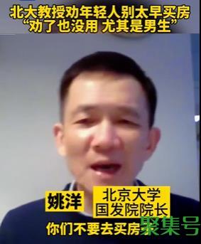 北大教授劝年轻人别太早买房(有网友称晚买房有什么优势)