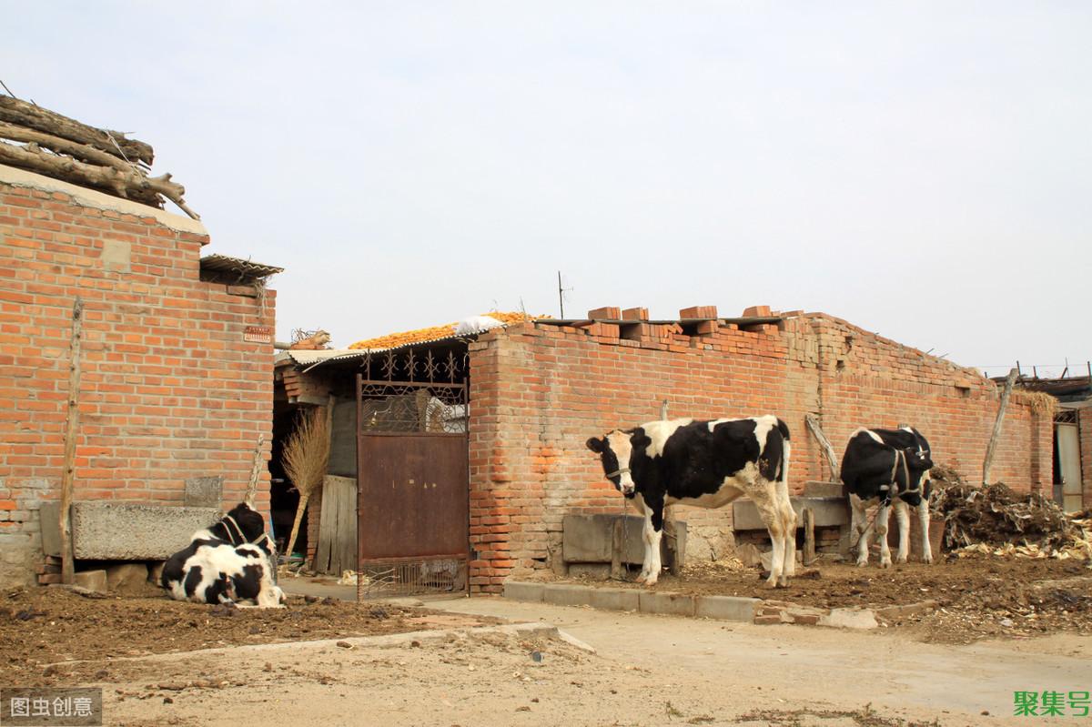 农村集体经济组织有什么用(外嫁女是否是村集体经济成员)