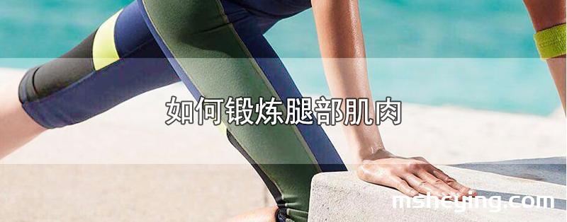 如何锻炼腿部肌肉