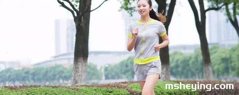 晨跑前吃什么