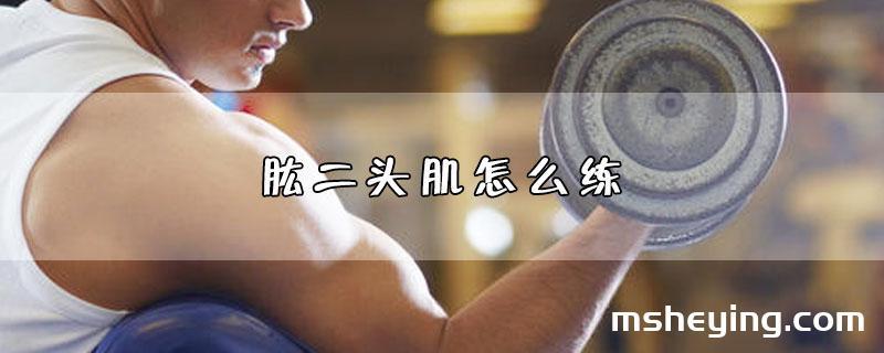 肱二头肌怎么练
