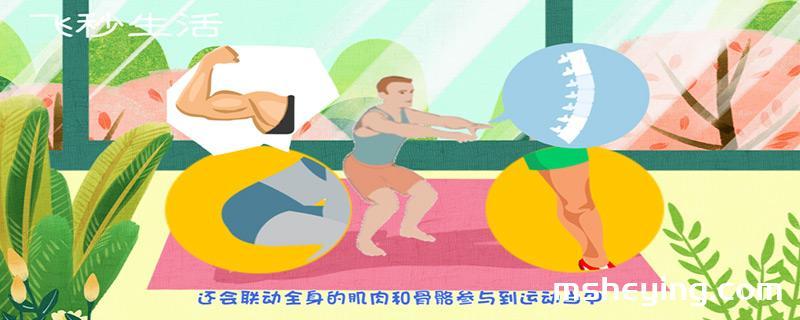 深蹲的好处