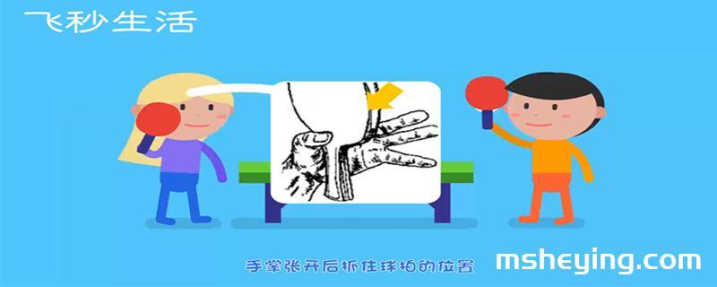 乒乓球握拍正确动作