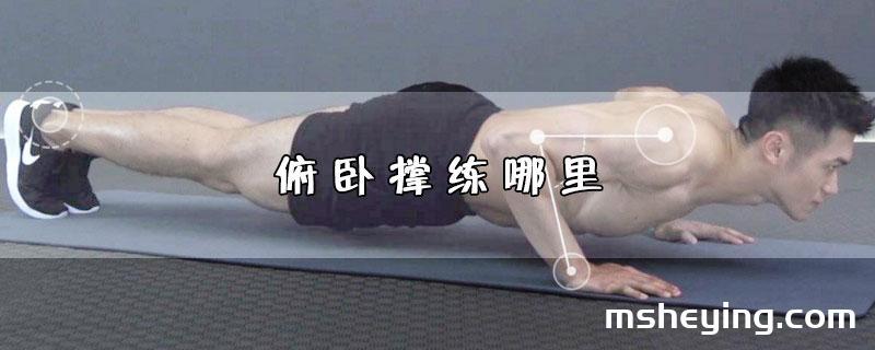 俯卧撑练哪里