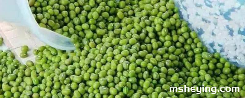 煮绿豆汤的正确方法