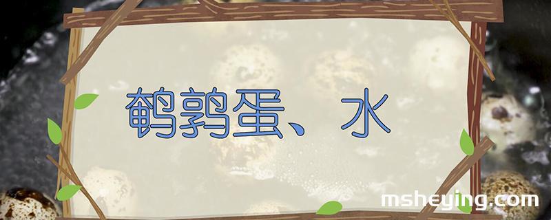 鹌鹑蛋煮多久