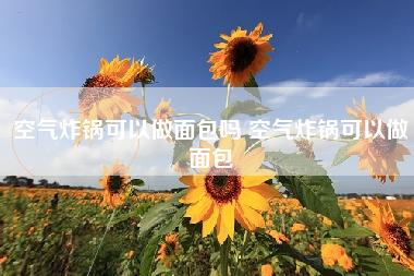 空气炸锅可以做面包吗 空气炸锅可以做面包