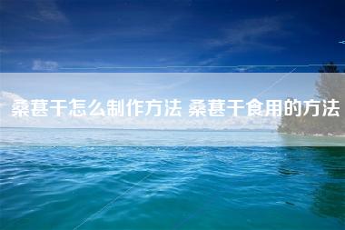 桑葚干怎么制作方法 桑葚干食用的方法