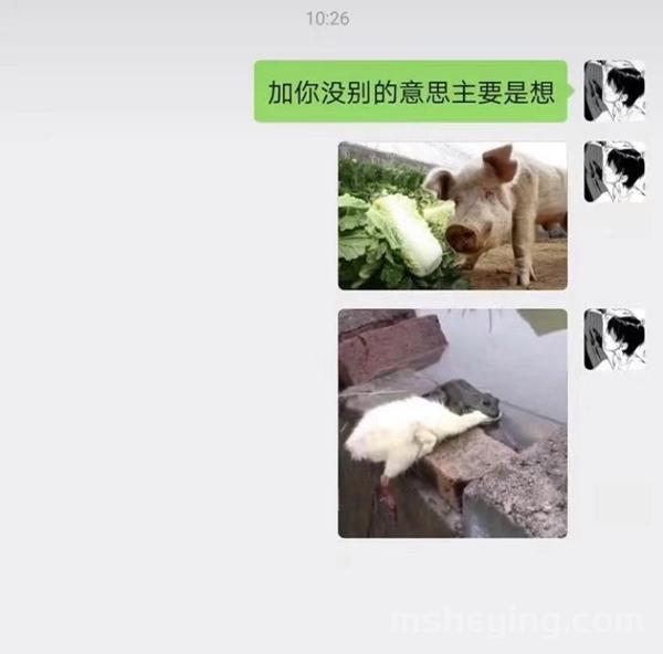 抖音加你没别的意思主要是想是什么意思 原图图片分享