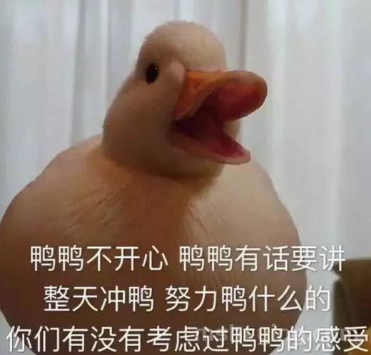 duck不必是什么意思 duck不必类似的梗有哪些
