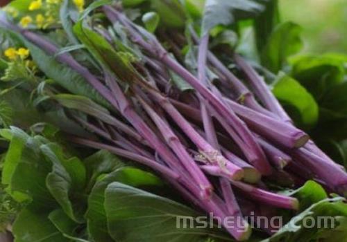 红菜苔用猪油炒还是菜籽油 什么时候放醋