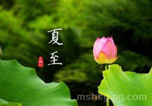 关于夏至节气的说说大全 夏至来了的心情说说