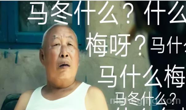 中国人不骗中国人是什么梗，马冬梅又是什么梗？