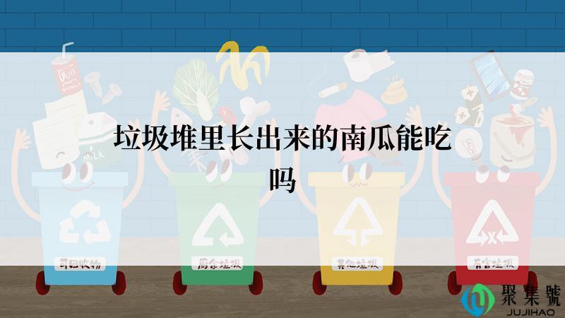 垃圾堆里长出来的南瓜能吃吗