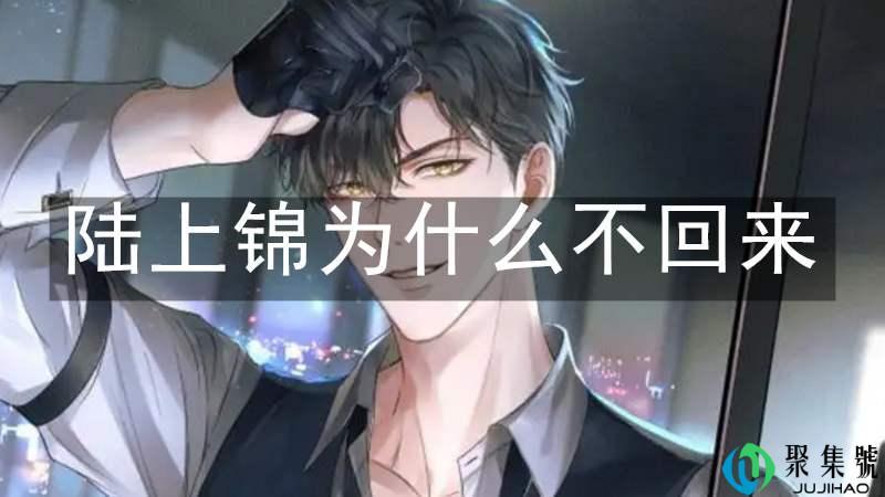 陆上锦为什么不回来