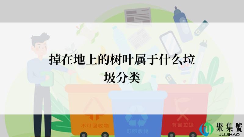掉在地上的树叶属于什么垃圾分类