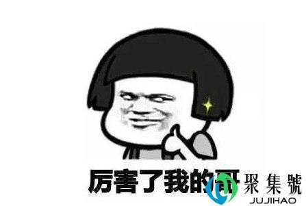 支持的近义词有哪些