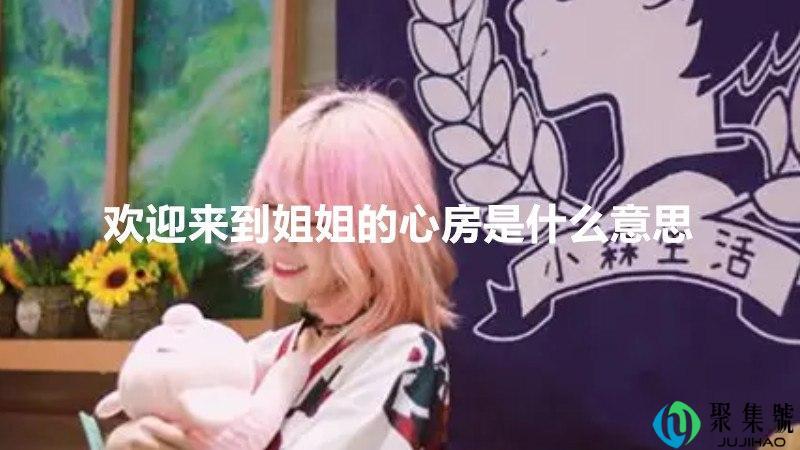 欢迎来到姐姐的心房是什么意思
