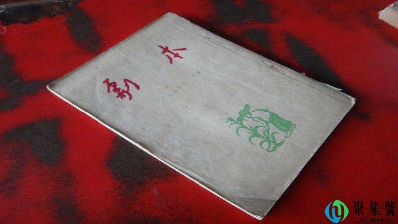 玩剧本什么意思